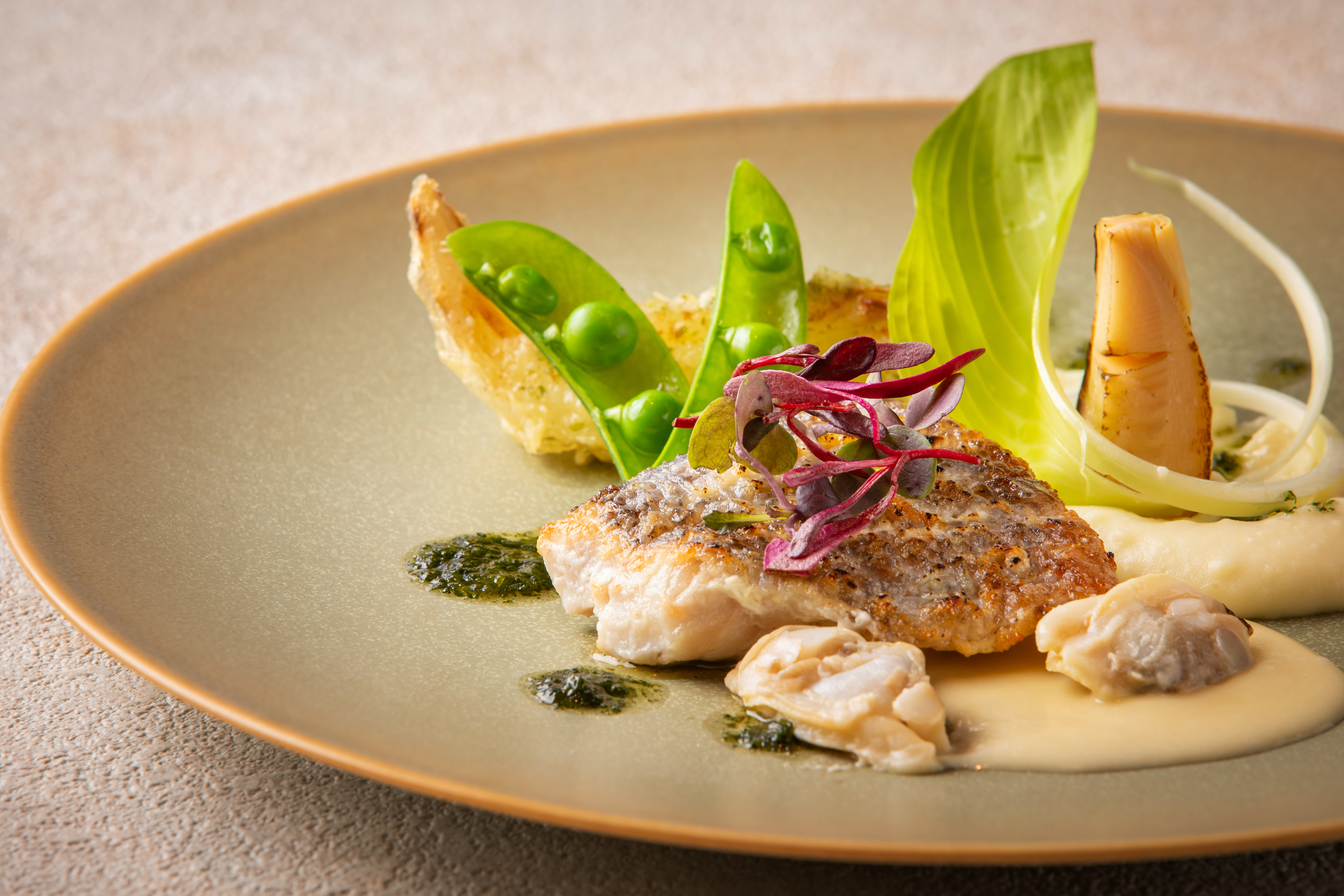 <3/18~5/12>平日限定「壱之壱」春のプリフィクスランチコースにお得なワンドリンク付き ※5/2~5/6を除く