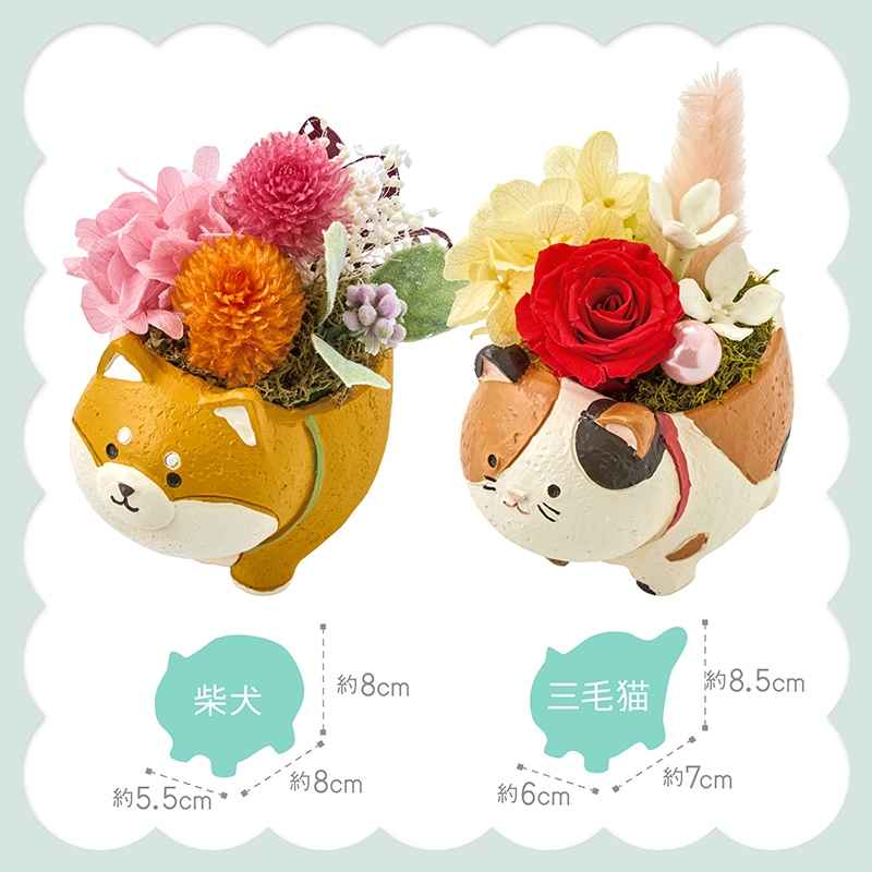 母の日 アニマルプリザと「銀座千疋屋」銀座フルーツサンド 81010 TMDS10120 26MDS 送料込み