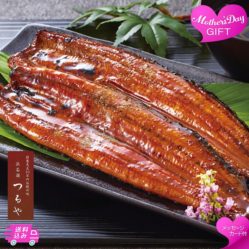 母の日 「浜名湖つるや」監修 浜松うなぎ蒲焼セット 81056 TMDS10166 26MDS 送料込み
