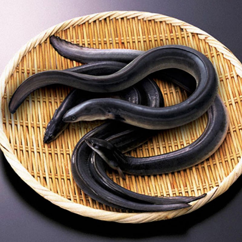 浜松・浜名湖産うなぎ蒲焼白焼 4人前(蒲2・白2)