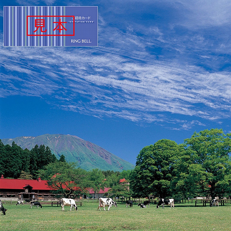 カシオペア(雑貨・慶事用)【カタログギフト】