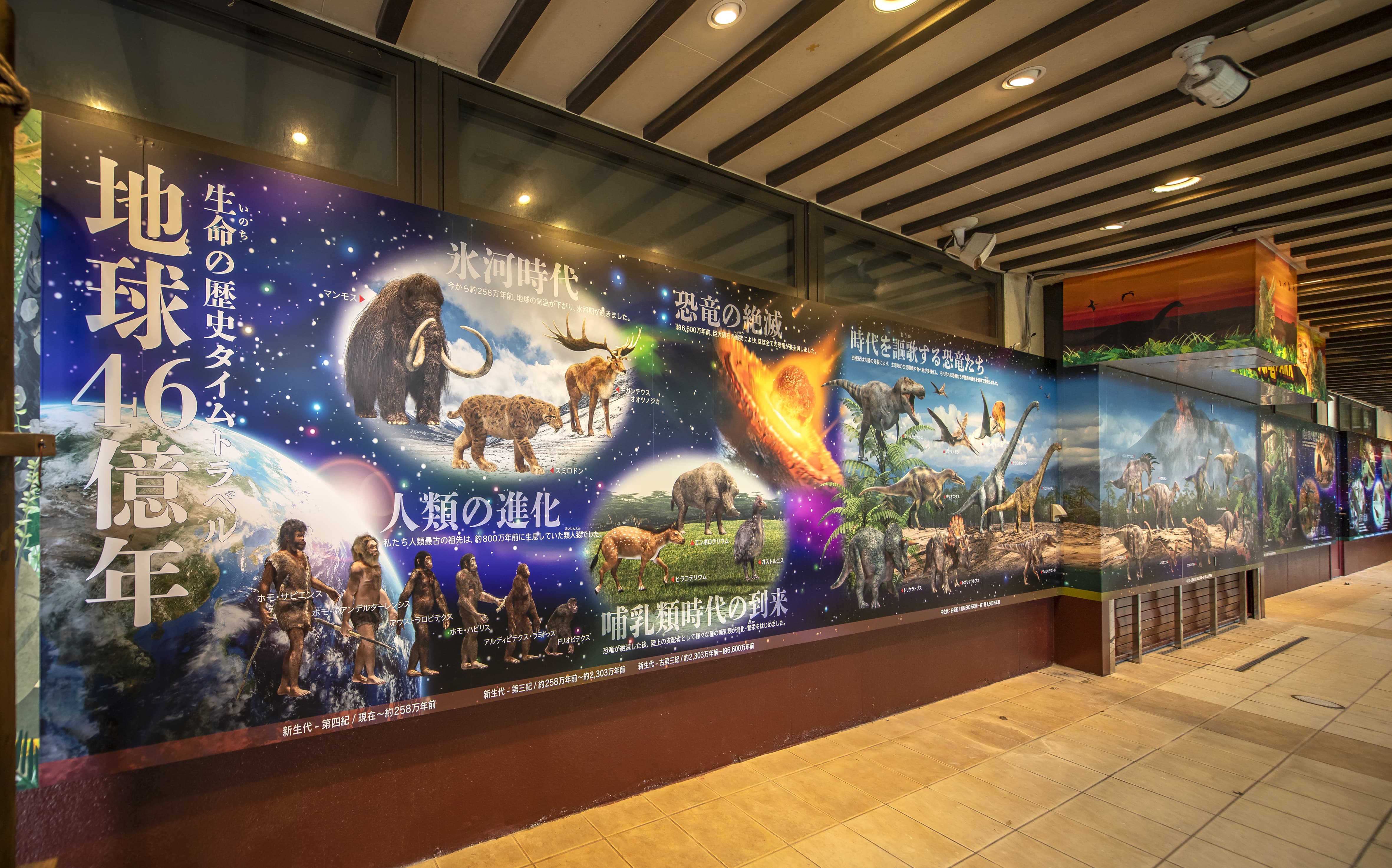【DINO恐竜PARK やんばる亜熱帯の森】 入園券