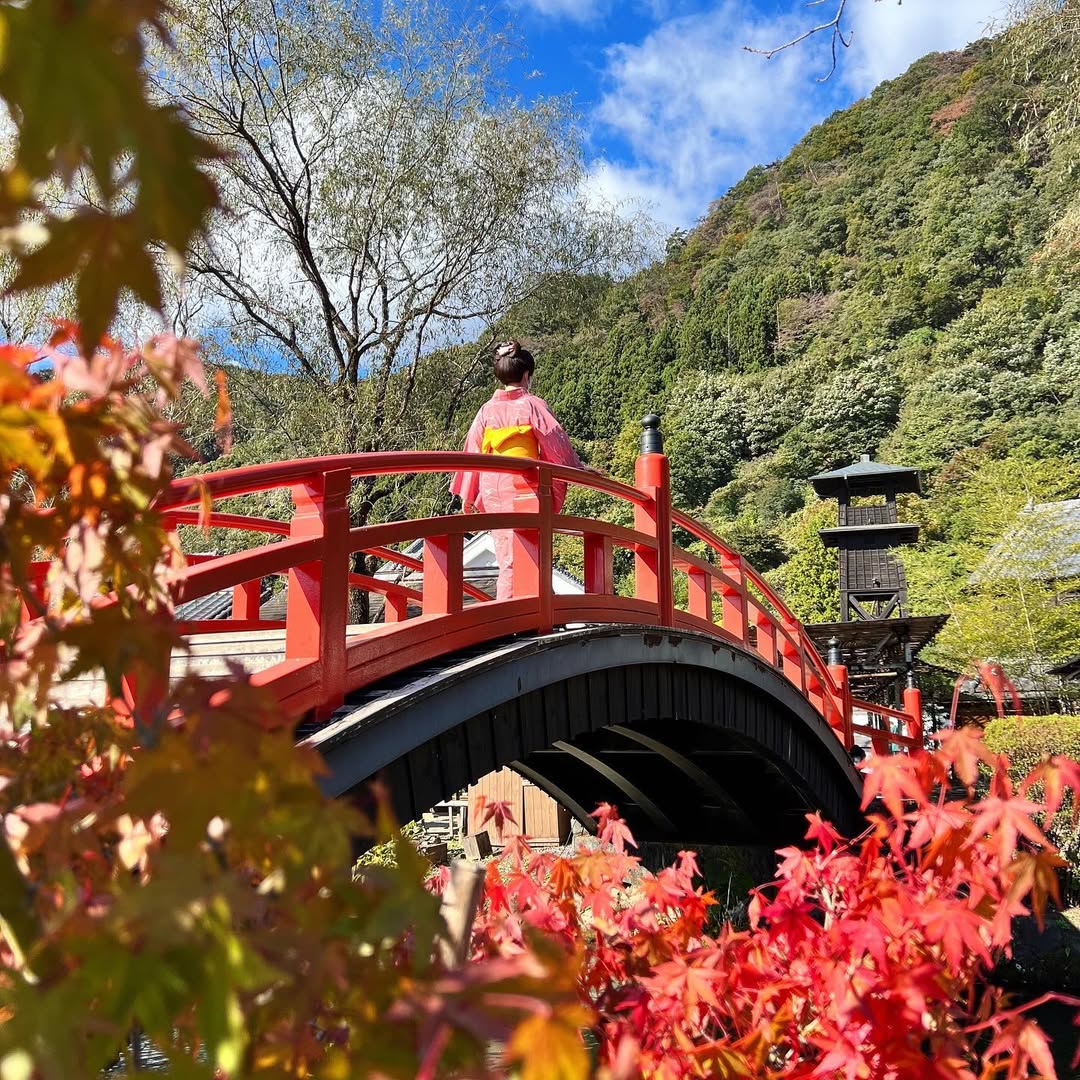 11/4(火)~利用可【1日券】江戸ワンダーランド日光江戸村 通行手形お得前売り券(デジタルチケット)/2025年11月4日(火)~2026年1月13日(火 )入村有効