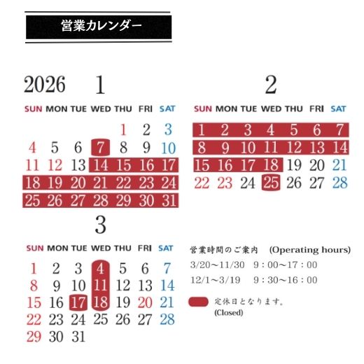 2/19(木)~利用可能【午後割】江戸ワンダーランド日光江戸村 通行手形お得前売り券(デジタルチケット)/夏季(3/20~11/30)は14時以降、冬期(12/1~3/19)は13時以降の入村に適用/2月19日~7月31日入村有効