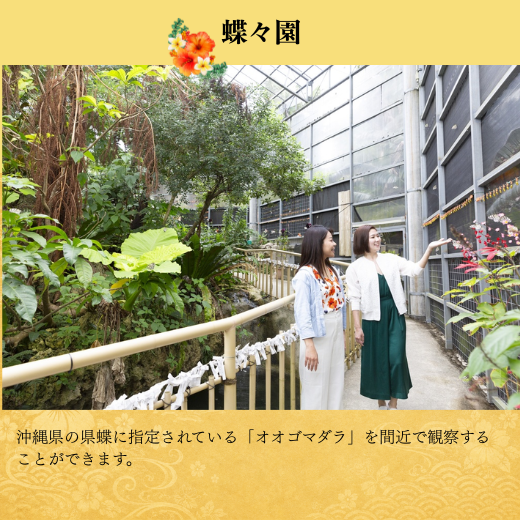 【10%OFF】琉球村入園チケット