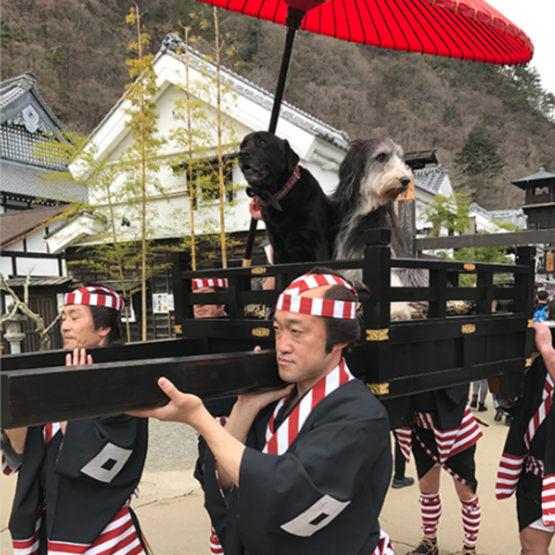 【11/22(土)・23(日)・24(月・祝)日付指定】お犬様ご入城!『犬も歩けば八百八町』江戸ワンダーランド日光江戸村1日入村券