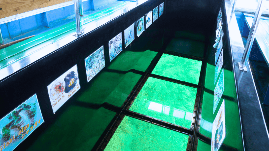 川平湾グラスボート利用券|石垣島の絶景で海中観賞を楽しむ人気アクティビティ<15分毎に運航/石垣島>