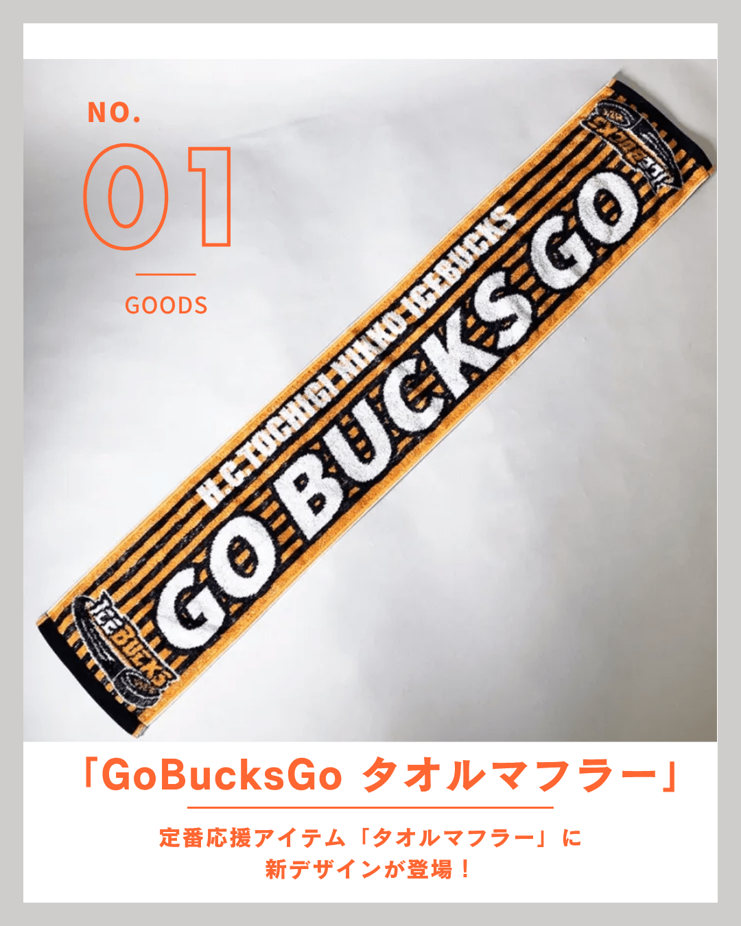 観戦グッズ詰め合わせ【H.C.栃木日光アイスバックス】