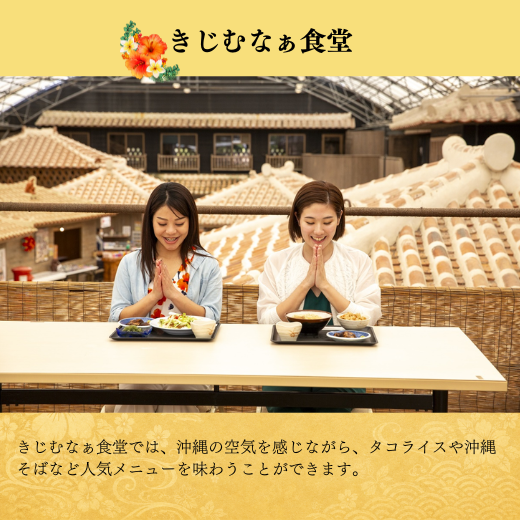【10%OFF】琉球村入園チケット