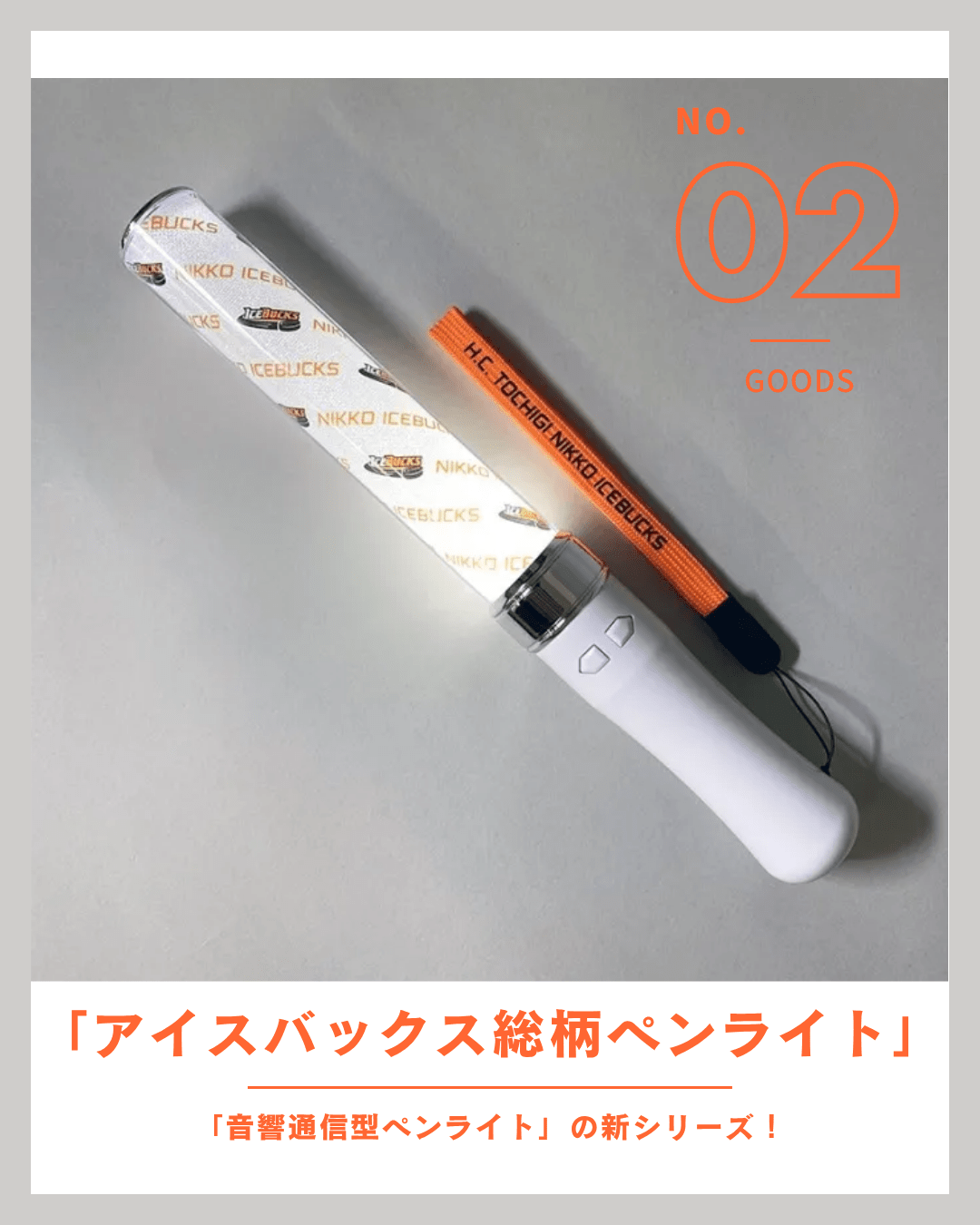 観戦グッズ詰め合わせ【H.C.栃木日光アイスバックス】