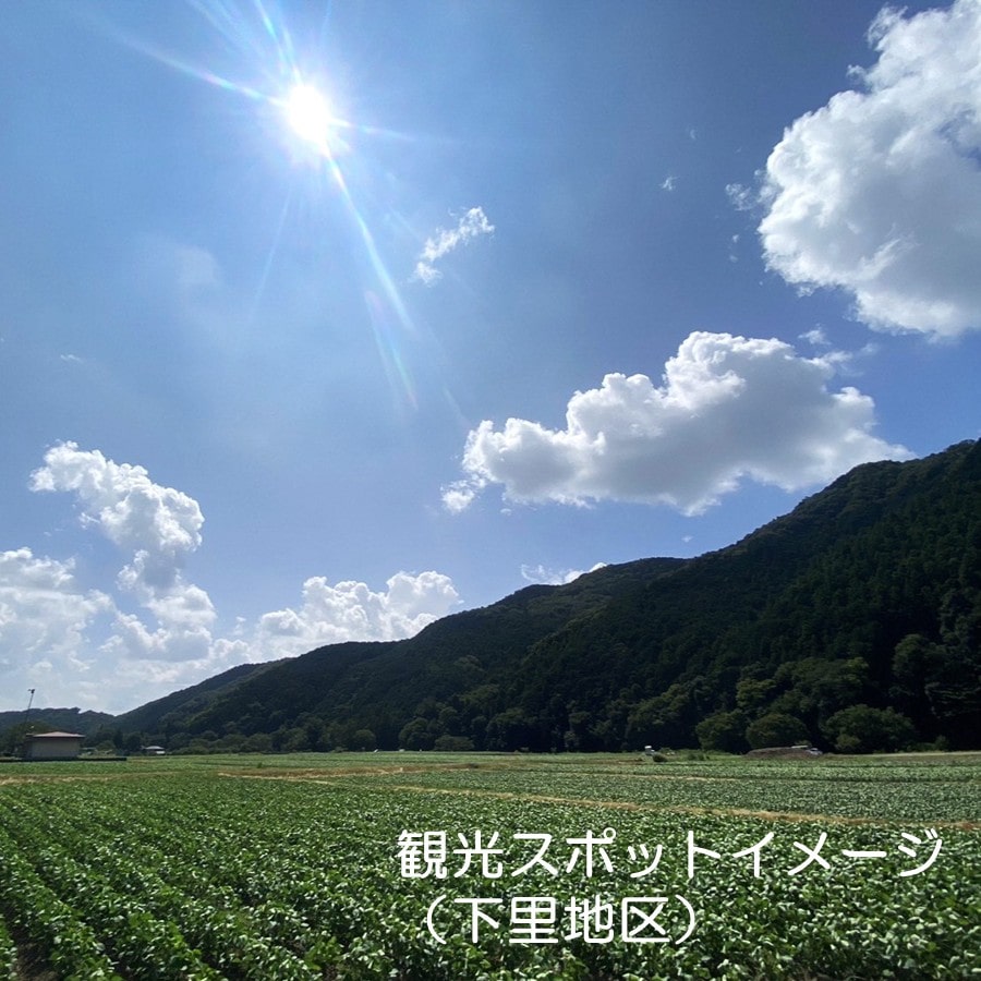 道の駅おがわまち 電動アシスト自転車【1時間】レンタルチケット
