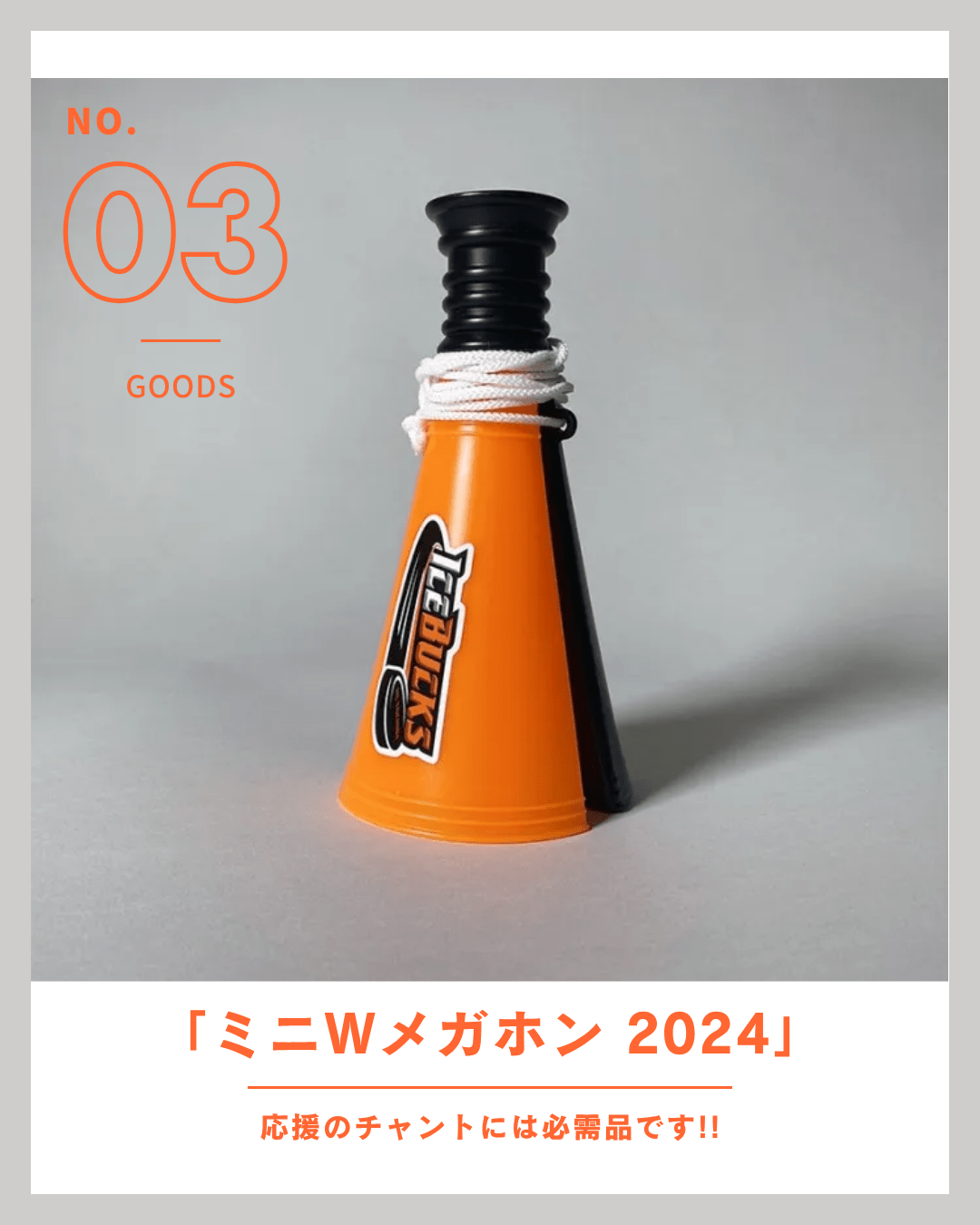 観戦グッズ詰め合わせ【H.C.栃木日光アイスバックス】