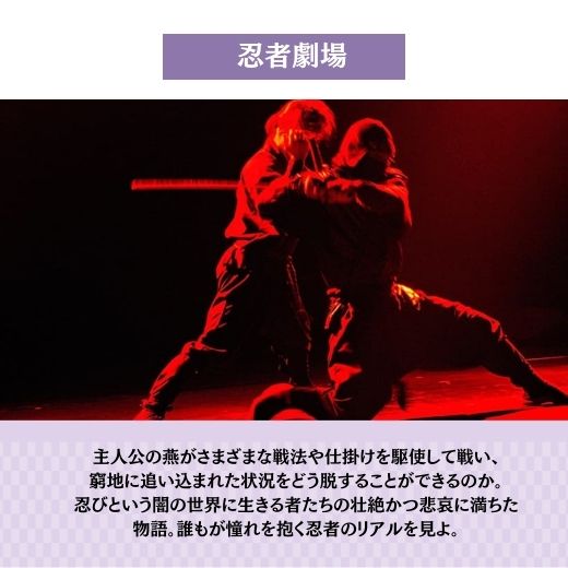 2/19(木)~利用可能【1日券】江戸ワンダーランド日光江戸村 通行手形お得前売り券(デジタルチケット)/2026年2月19日~7月31日入村有効