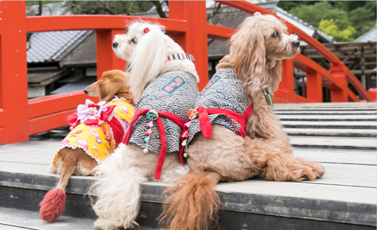 【11/22(土)・23(日)・24(月・祝)日付指定】お犬様ご入城!『犬も歩けば八百八町』江戸ワンダーランド日光江戸村1日入村券