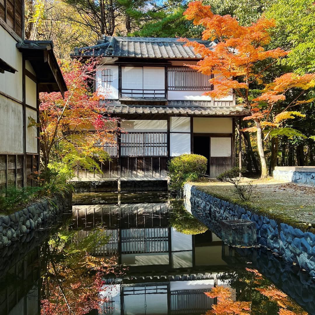 【11/22(土)・23(日)・24(月・祝)日付指定】お犬様ご入城!『犬も歩けば八百八町』江戸ワンダーランド日光江戸村1日入村券