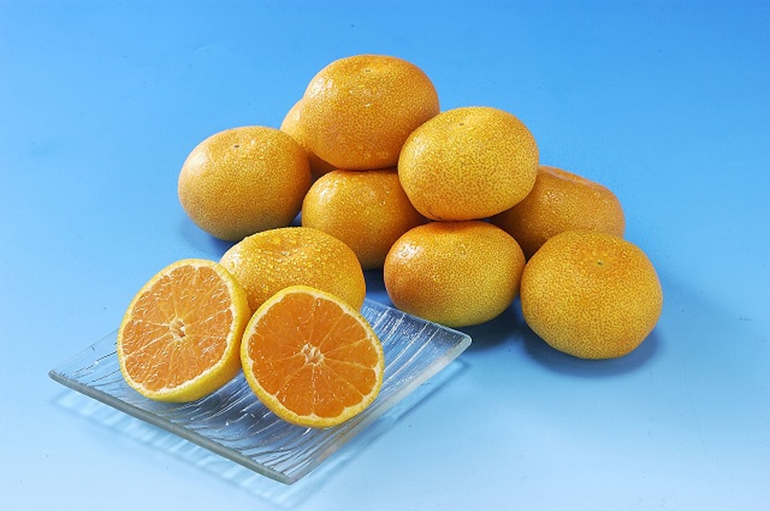 【お中元】佐賀 温室みかん 計1kg