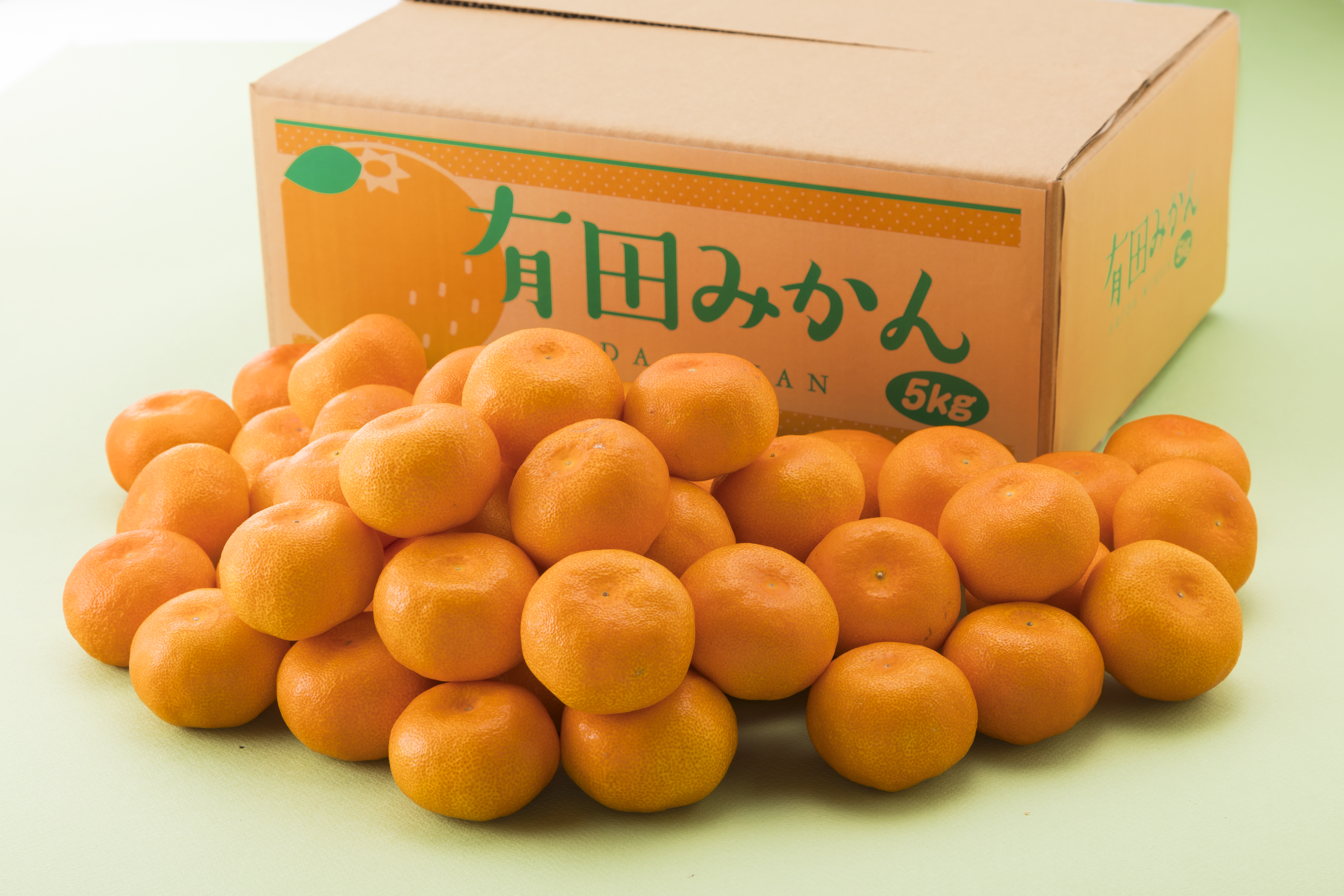 【お歳暮】 有田みかん 5kg(ボーフォード) 冬の味コレ!