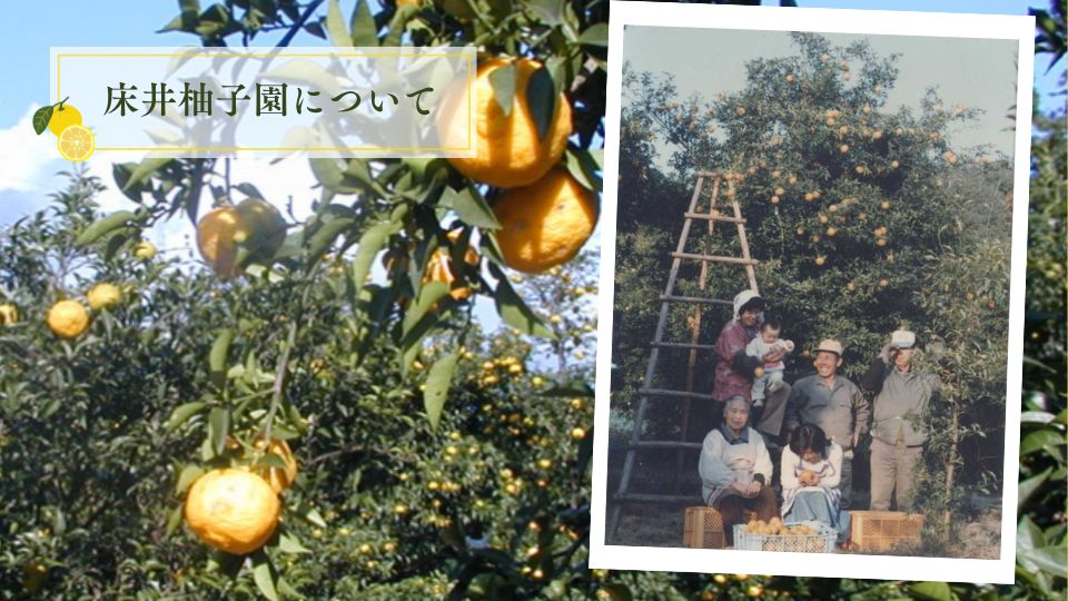 床井柚子園