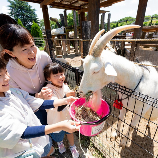 【2026年3月1日~3月31日有効】東武動物公園入園+アトラクションパスセット券