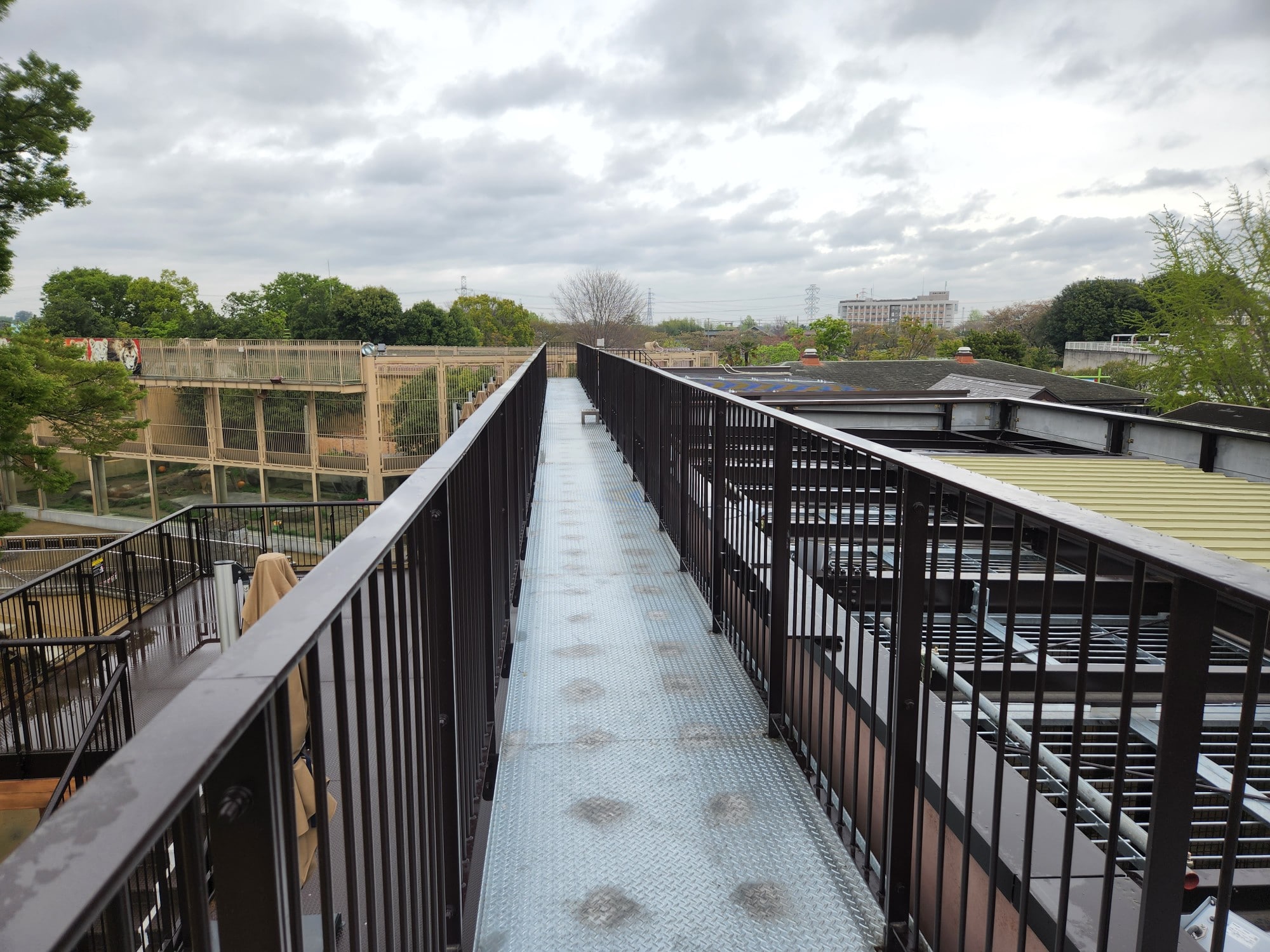 【TOBU MALL限定】2026/4/19開催! キャットウォーク探検隊 ~上からのぞくヒョウ・ジャガー~