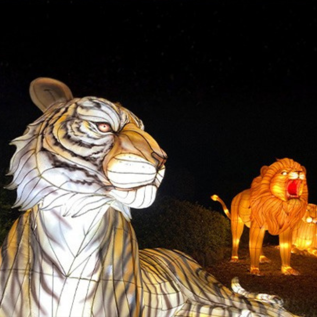 開催日限定!15:00~利用可能【2025年11月1日~2025年11月30日有効】東武動物公園ウィンターイルミネーション入園券