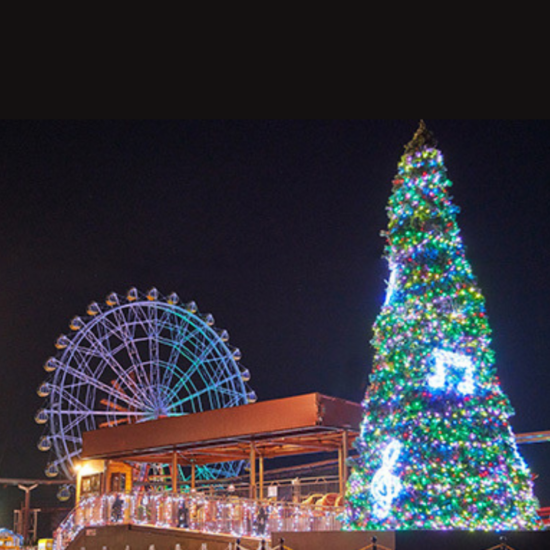 開催日限定!15:00~利用可能【2025年11月1日~2025年11月30日有効】東武動物公園ウィンターイルミネーション入園+アトラクションパスセット券