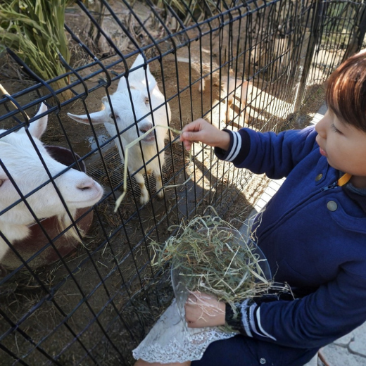 【2026年3月1日~3月31日有効】東武動物公園入園+アトラクションパスセット券