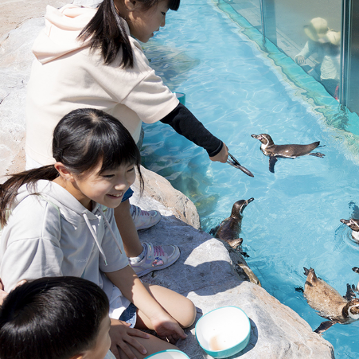 【2026年3月1日~3月31日有効】東武動物公園入園+アトラクションパスセット券