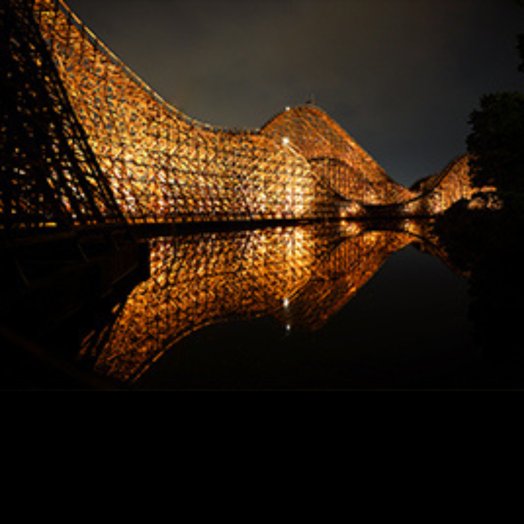 開催日限定!15:00~利用可能【2025年11月1日~2025年11月30日有効】東武動物公園ウィンターイルミネーション入園+アトラクションパスセット券