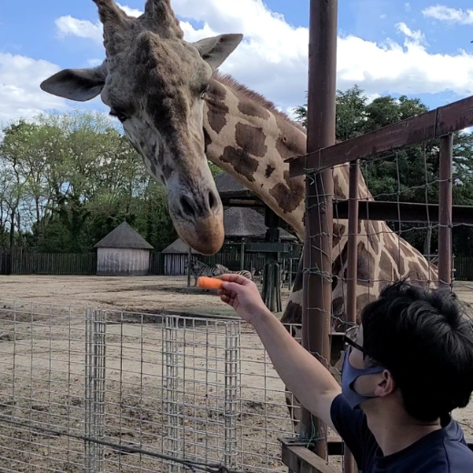 【2026年3月1日~3月31日有効】東武動物公園入園+アトラクションパスセット券