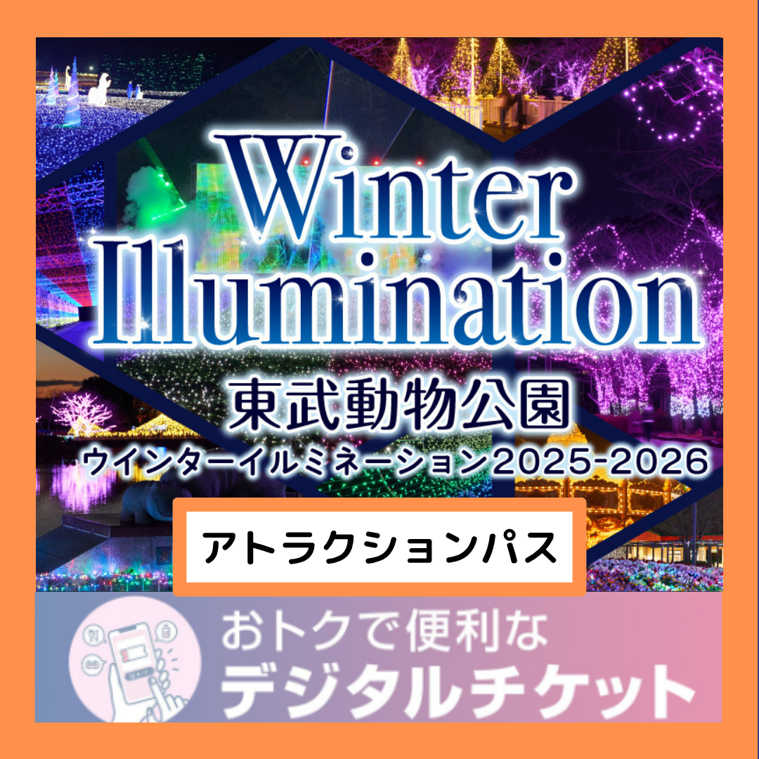 開催日限定!15:00~利用可能【2025年11月1日~2025年11月30日有効】東武動物公園ウィンターイルミネーション入園+アトラクションパスセット券