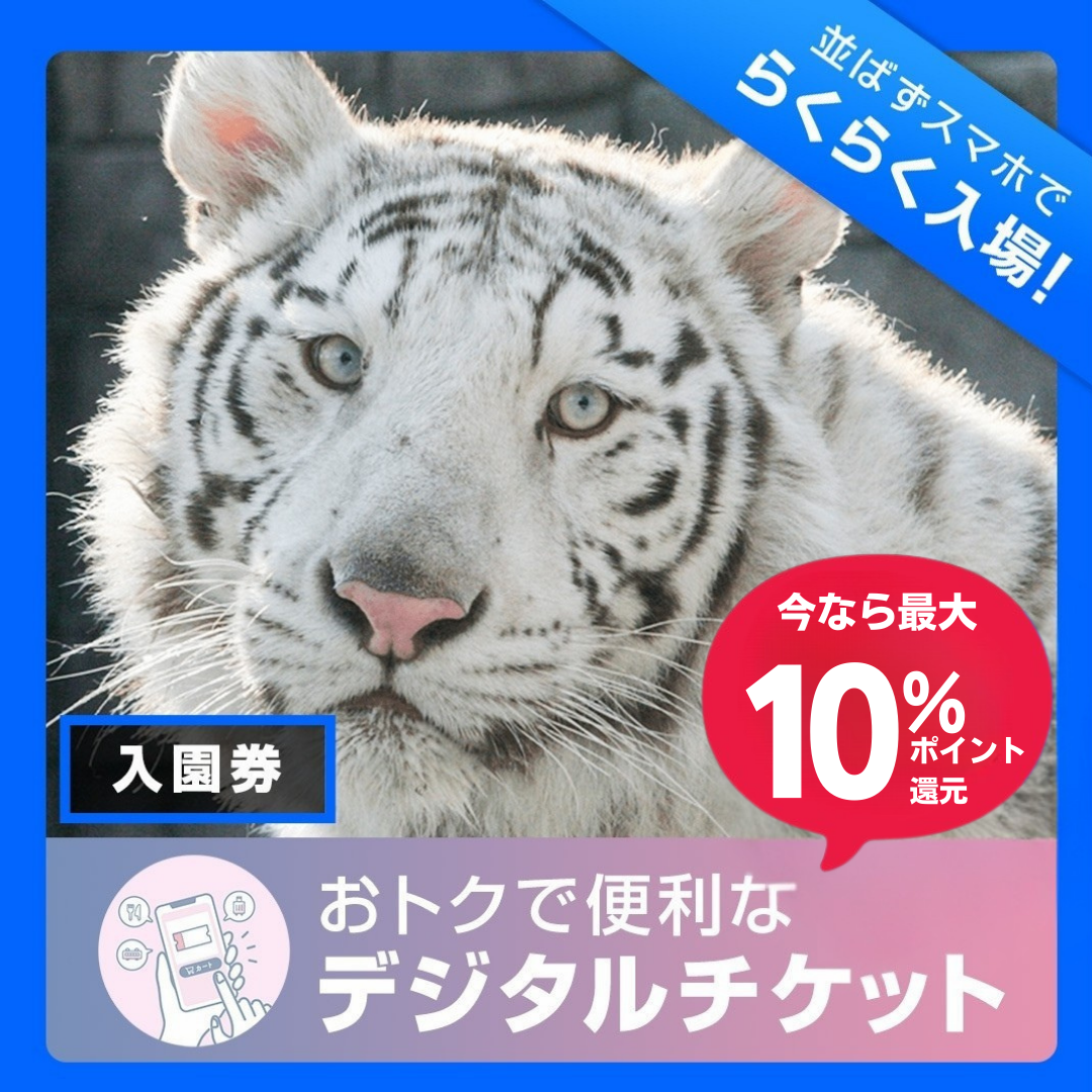 【2026年9月1日~9月30日有効】東武動物公園入園券