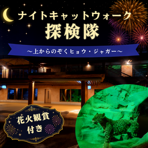 【2026/8/22開催!】 花火観賞とナイトキャットウォーク探検隊 ~上からのぞくヒョウ・ジャガー~