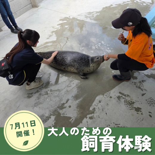 【7月11日(土)開催!】大人のための飼育体験2026