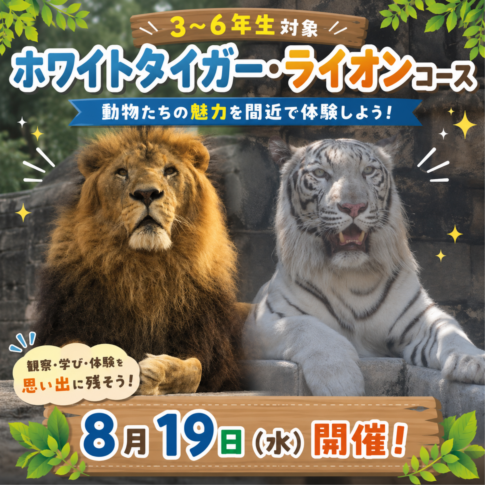 【小学3~6年生限定】8月19日開催!夏のおしごと体験2026 ~ホワイトタイガー・ライオンコース~