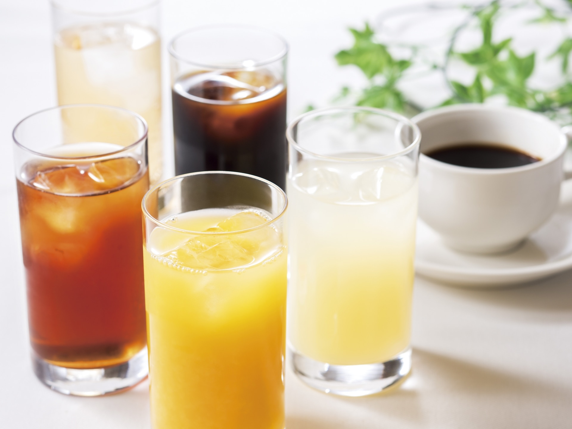 【6/13・14限定|ランチ】初夏のデザートパラダイス | カフェレストラン オアシス