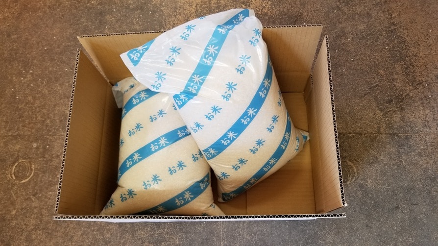 【2025年度産】北川辺産コシヒカリ精米10kg