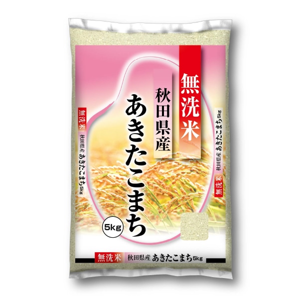 令和5年産 新米 秋田県産あきたこまち5kg×2袋 TMMM04003 【送料