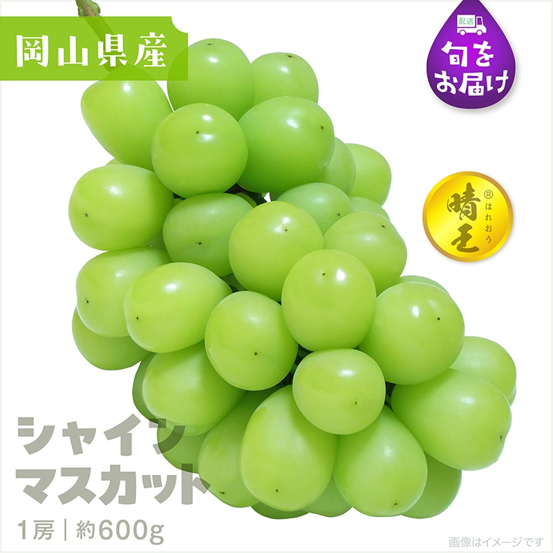 東武ストアTOBUMALL店/果物・野菜/梨・ぶどう産直 2025/ぶどう