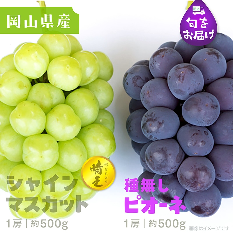 葡萄の壺 葡萄の壺 ぶどう - Search / X