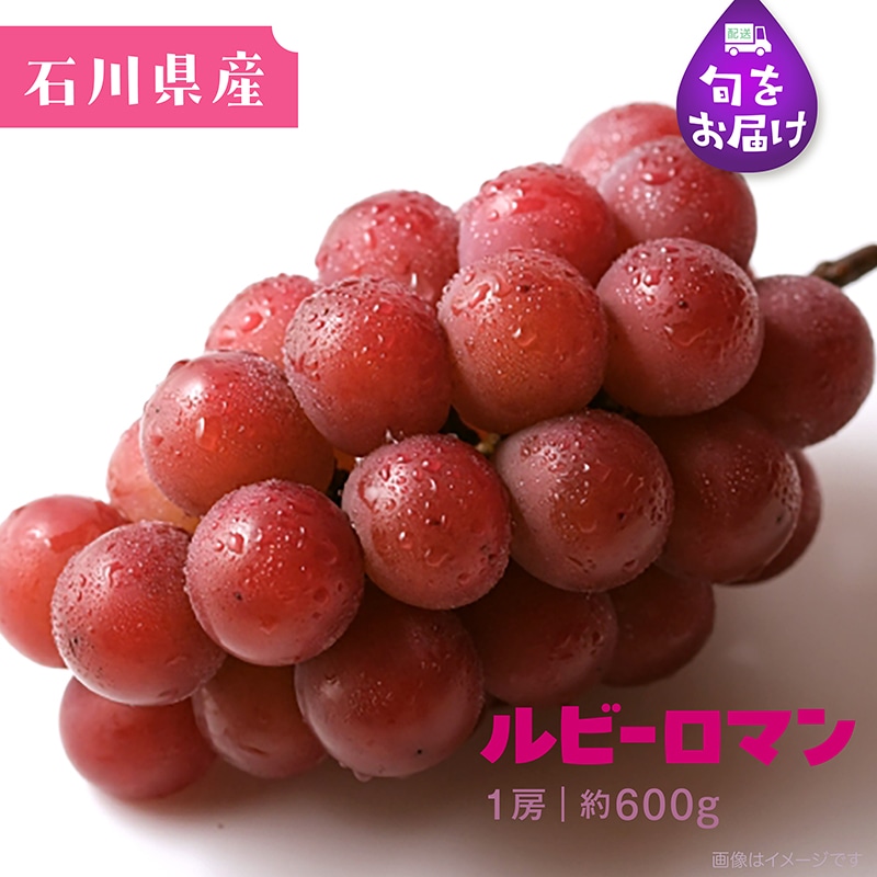 ぶどう10枚 国華園オンラインショップ / ぶどう
