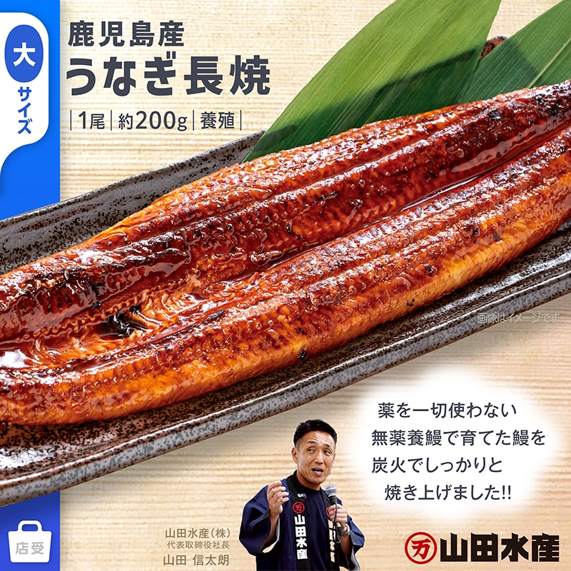 鹿児島産 うなぎ長焼 養殖 大 1尾 約200g TMUN0704 【現地受取】