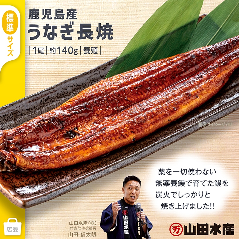 鹿児島産 うなぎ長焼 養殖 1尾 約140g TMUN0703 【現地受取】