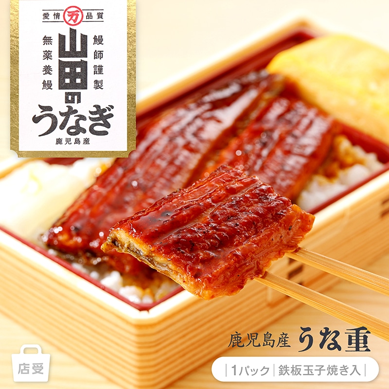 山田水産 鹿児島県産 うな重 鉄板玉子焼き入 TMUN0802 【現地受取】