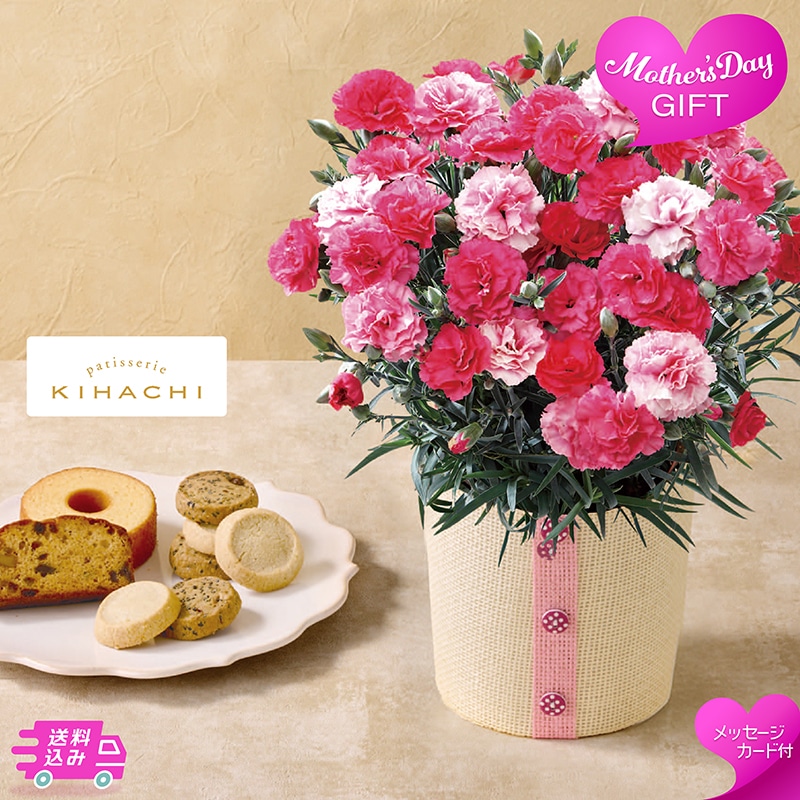 母の日 カーネーション 《さくらもなか》と「パティスリー キハチ」アソートBOX 81007 TMDS10117 26MDS 送料込み