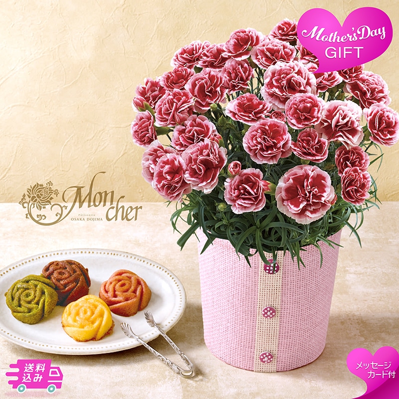 母の日 カーネーション 《いちごホイップ》と「パティスリー モンシェール」エタニティーローズ 81008 TMDS10118 26MDS 送料込み