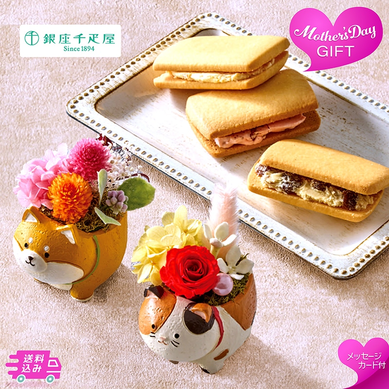 母の日 アニマルプリザと「銀座千疋屋」銀座フルーツサンド 81010 TMDS10120 26MDS 送料込み