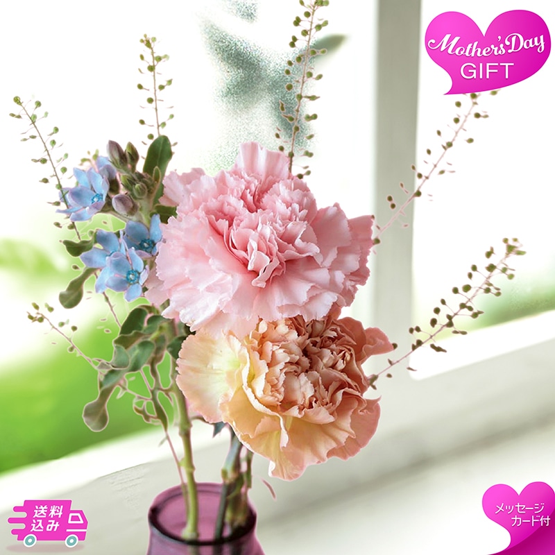 母の日 ナチュラルミニブーケ 81027 TMDS10137 26MDS 送料込み