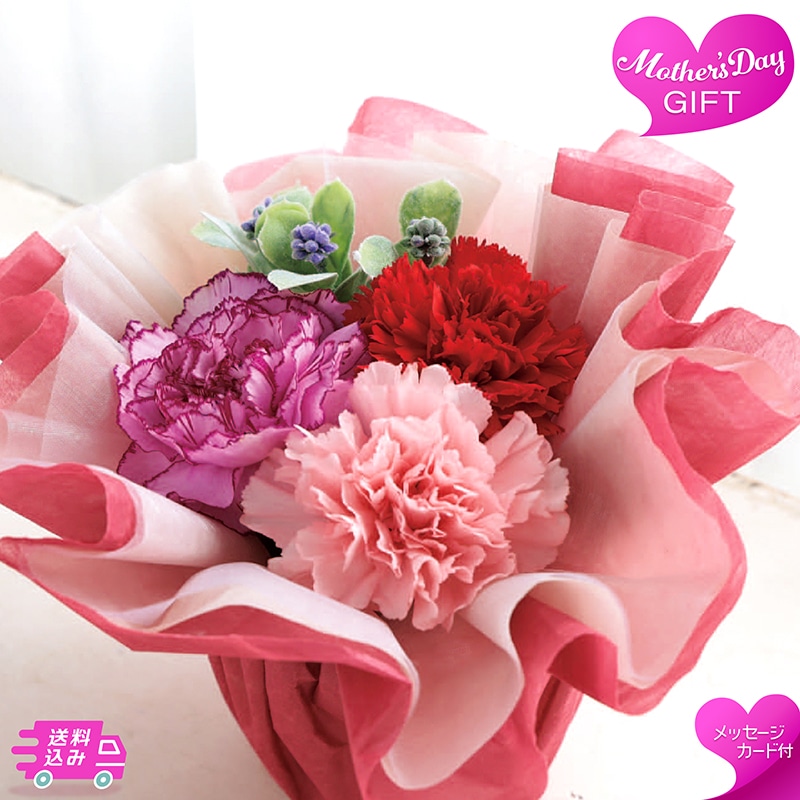 母の日 アレンジメント ふわふわアレンジ 81029 TMDS10139 26MDS 送料込み