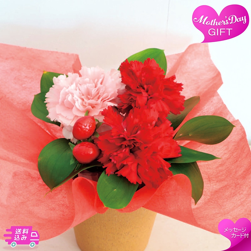 母の日 アレンジメント イチゴミルク 81028 TMDS10138 26MDS 送料込み